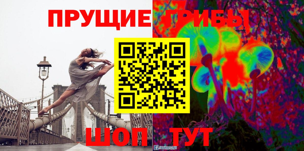 Тула  Галлюциногенные грибы прущие грибы  Галлюциногенные грибы прущие грибы  Вход с VPN 